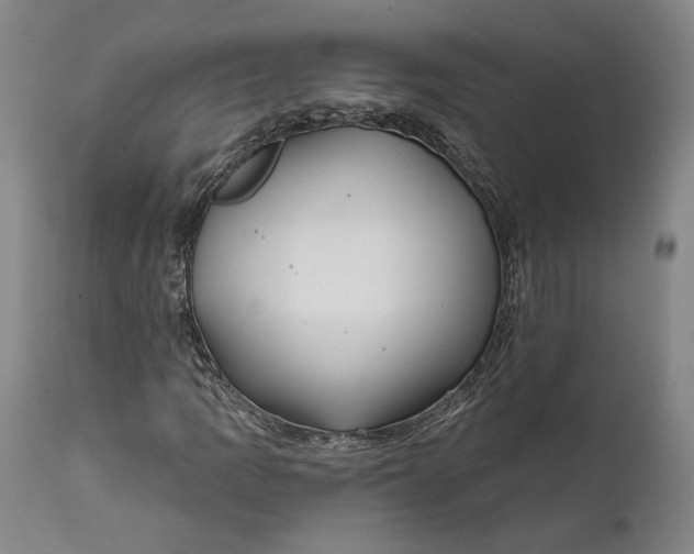 X0000111671109200908071451