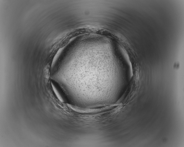 X0000111671110200908071451