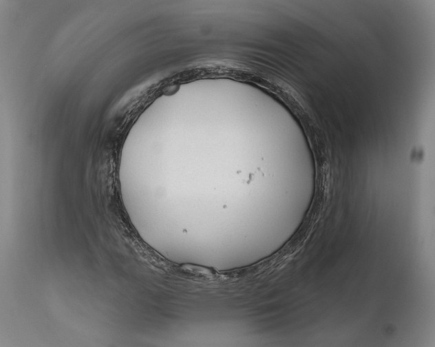 X0000111671111200908071451