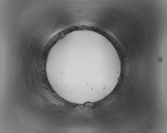 X0000111671112200908071451