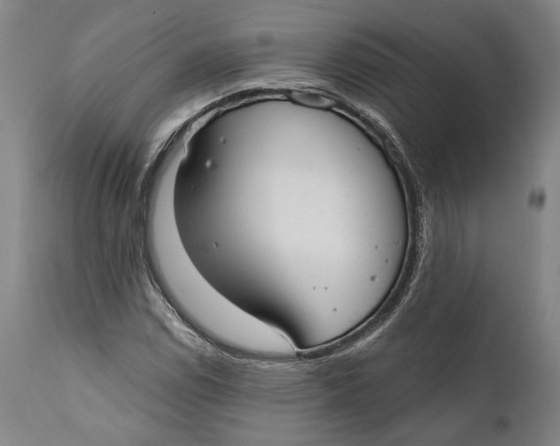 X0000111671114200908071451