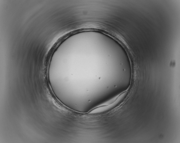 X0000111671116200908071451