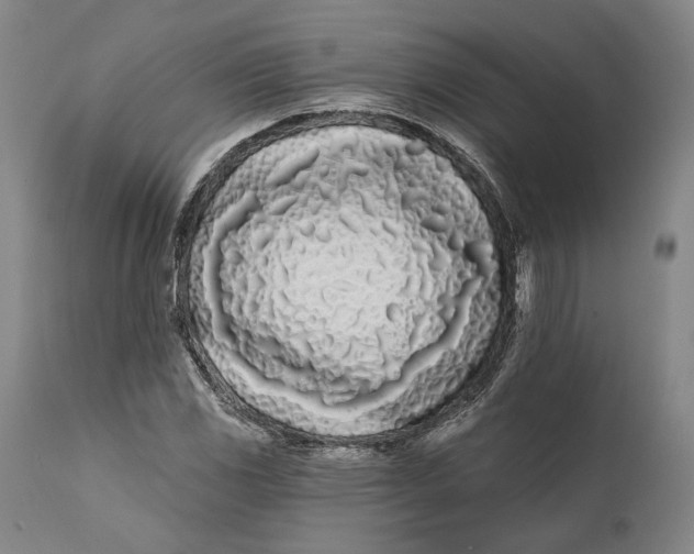 X0000111671117200908071451