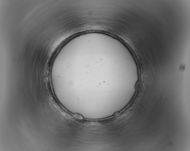 X0000111671119200908071451