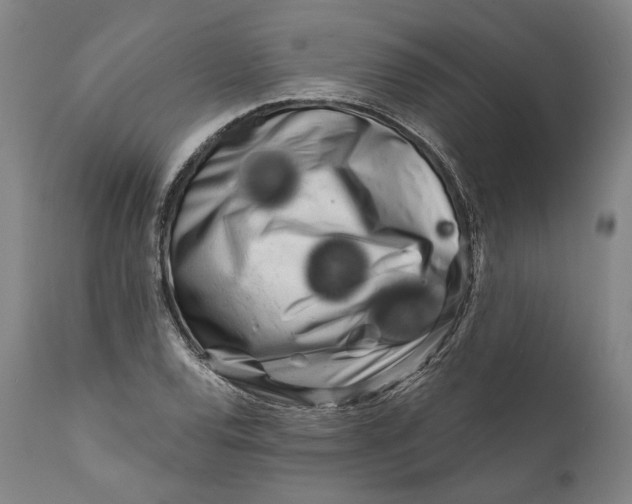 X0000111671120200908071451