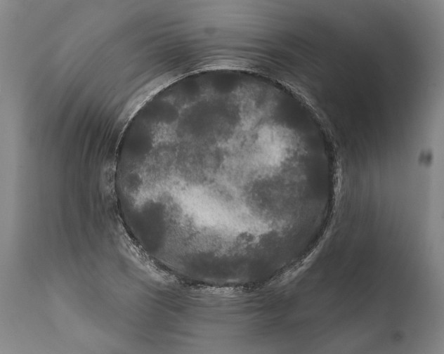 X0000111671121200908071451