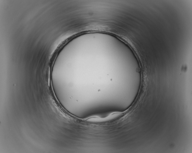 X0000111671123200908071451