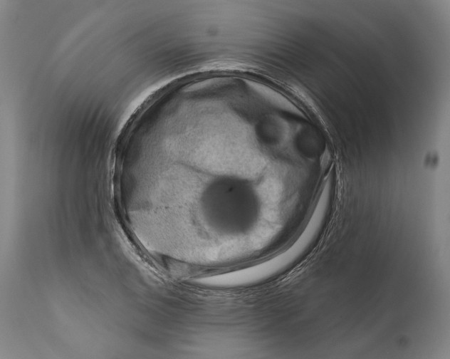 X0000111671124200908071451