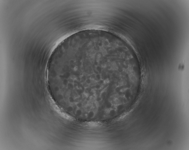 X0000111671125200908071451