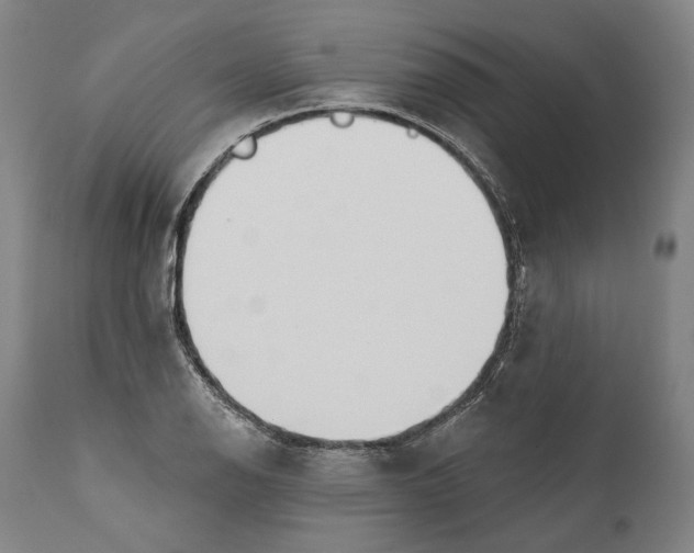 X0000111671126200908071451