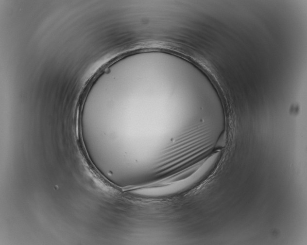 X0000111671127200908071451