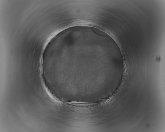 X0000111671128200908071451