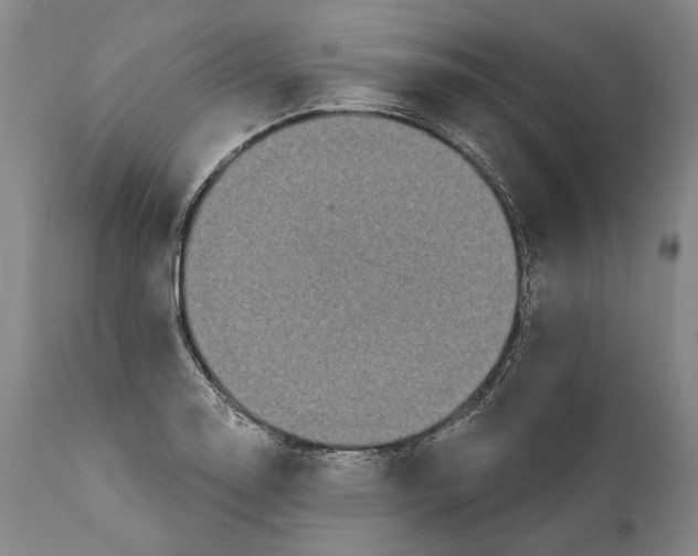 X0000111671130200908071451