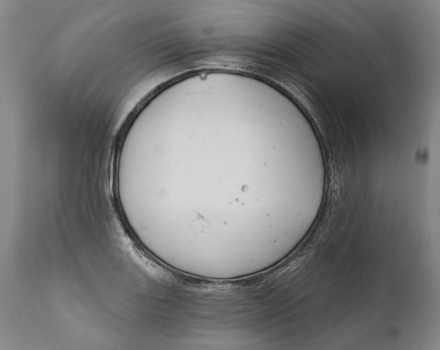 X0000111671131200908071451