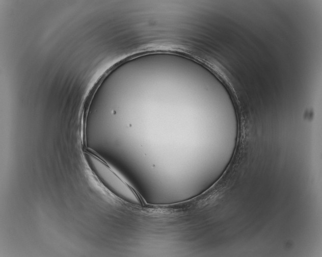 X0000111671132200908071451