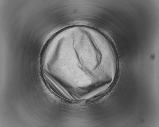 X0000111671133200908071451