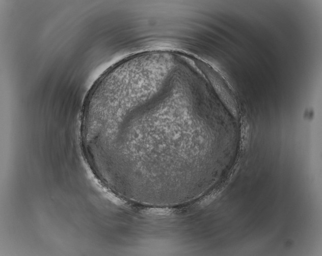 X0000111671134200908071451