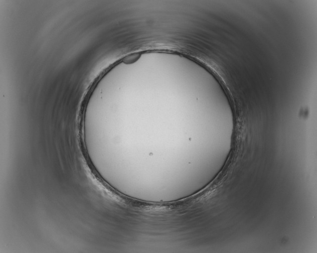 X0000111671135200908071451