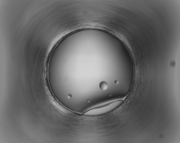 X0000111671136200908071451