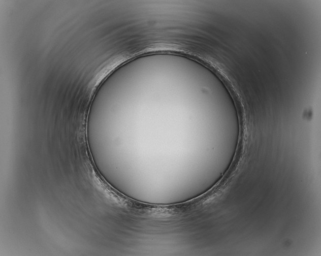 X0000111671137200908071451