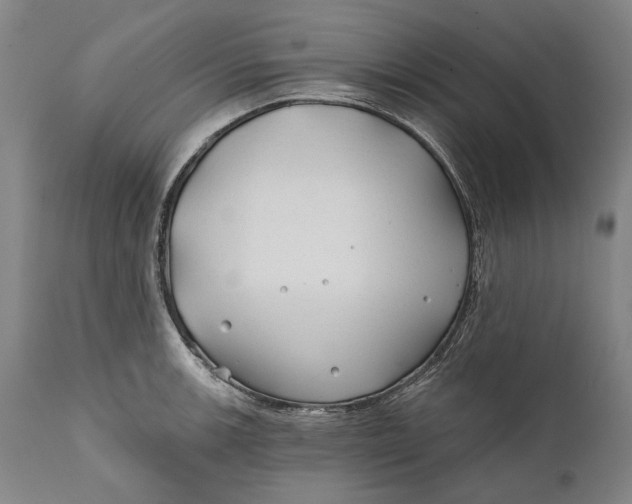 X0000111671139200908071451