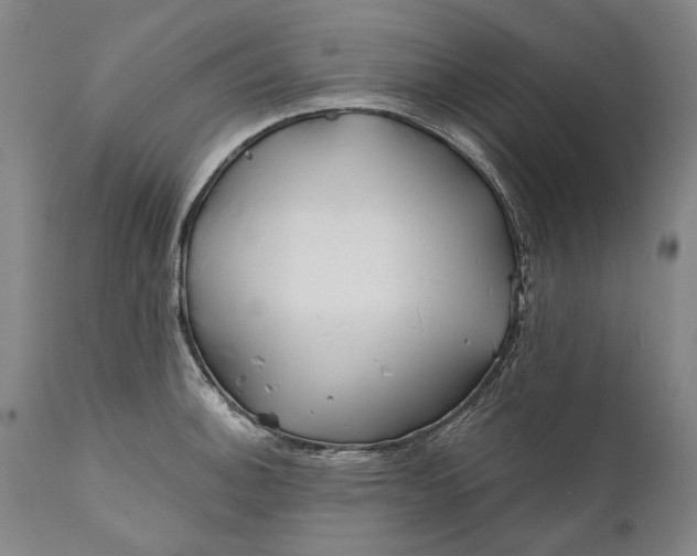 X0000111671140200908071451