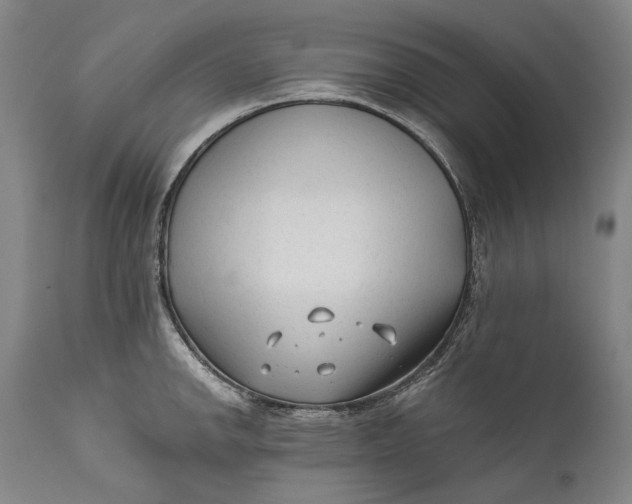 X0000111671142200908071451