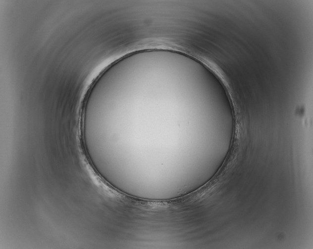 X0000111671144200908071451