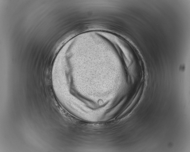 X0000111671145200908071451