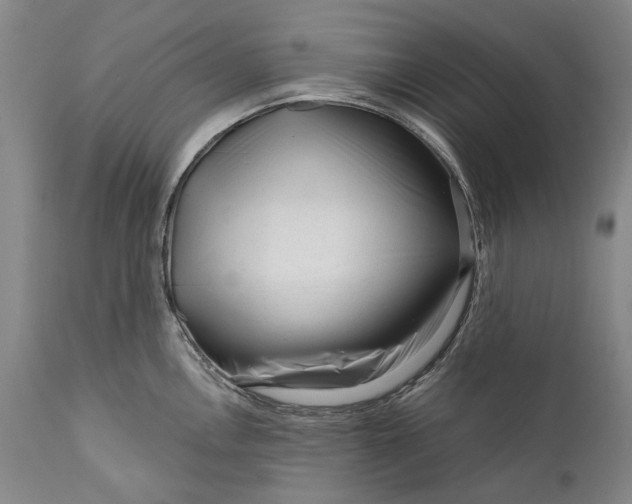 X0000111671146200908071451