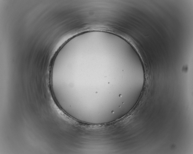 X0000111671147200908071451