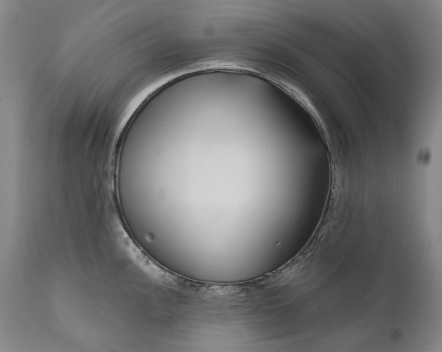 X0000111671148200908071451