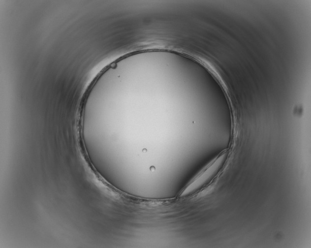 X0000111671149200908071451