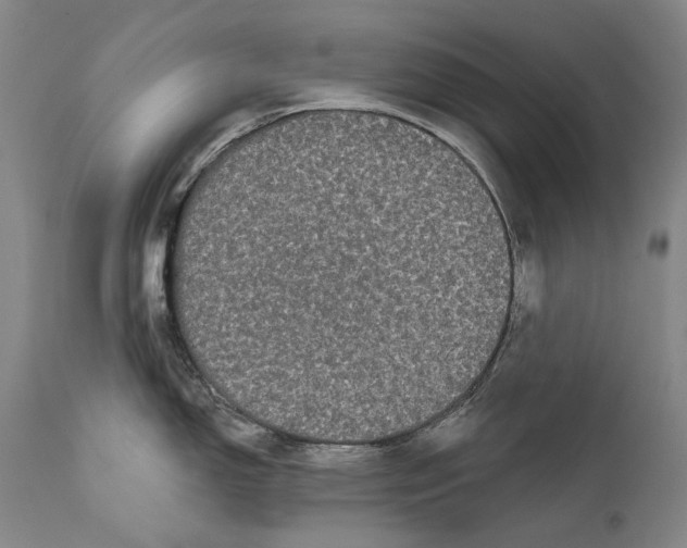 X0000111671150200908071451