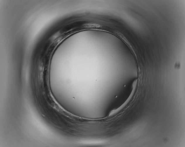 X0000111671151200908071451