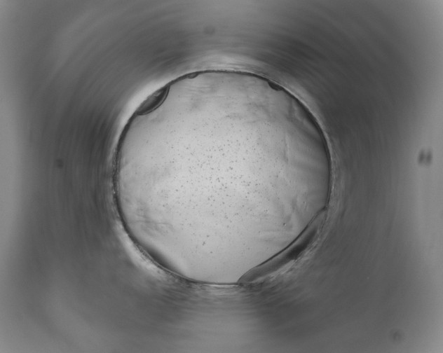 X0000111671152200908071451