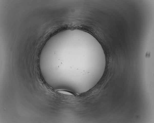 X0000111671153200908071451