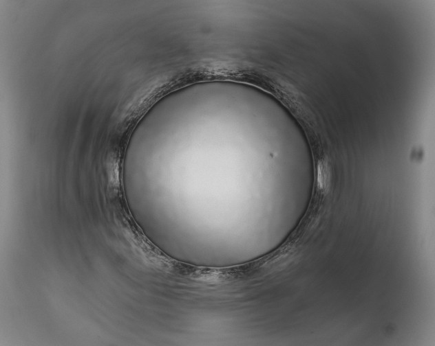 X0000111671155200908071451