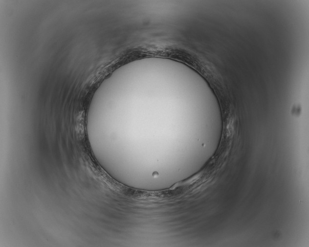 X0000111671156200908071451