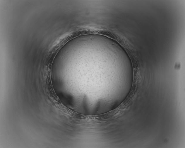 X0000111671157200908071451