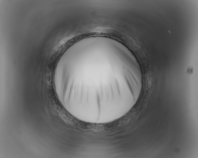 X0000111671158200908071450