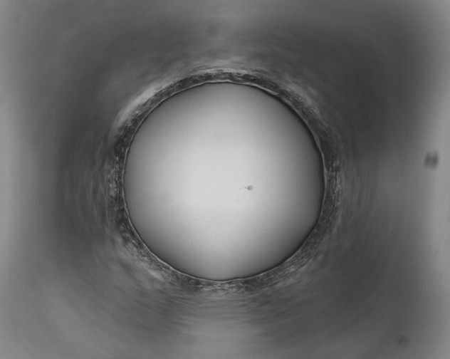 X0000111671159200908071450