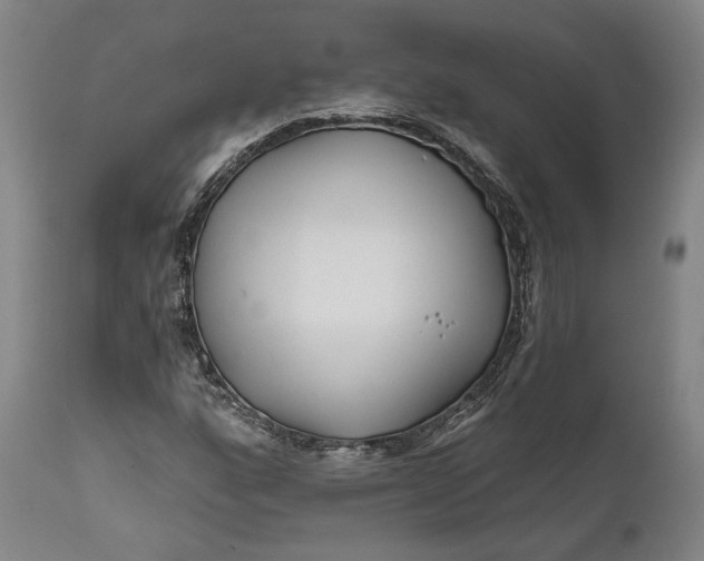 X0000111671160200908071450