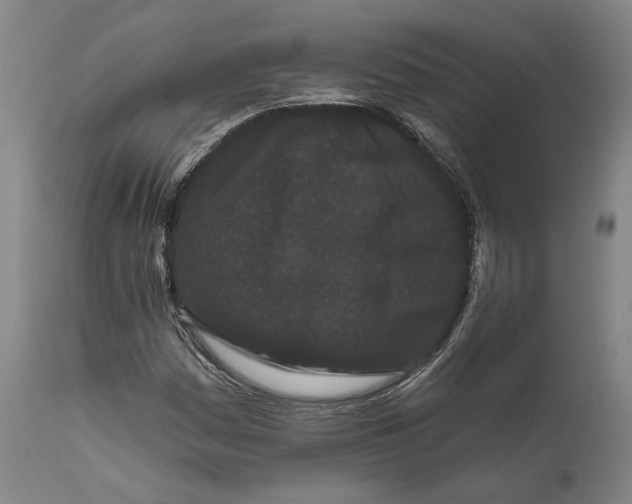 X0000111671161200908071450