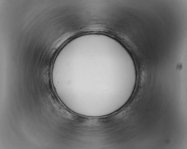 X0000111671162200908071450