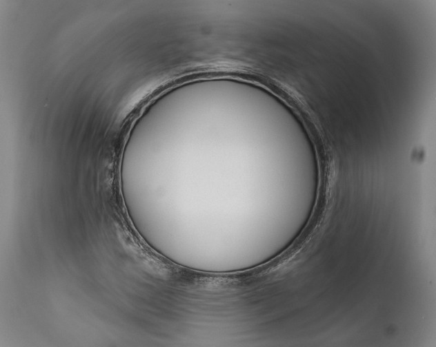 X0000111671163200908071450