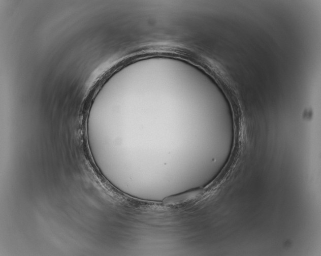 X0000111671164200908071450