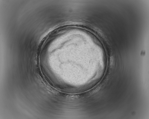 X0000111671165200908071450