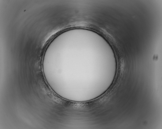 X0000111671166200908071450