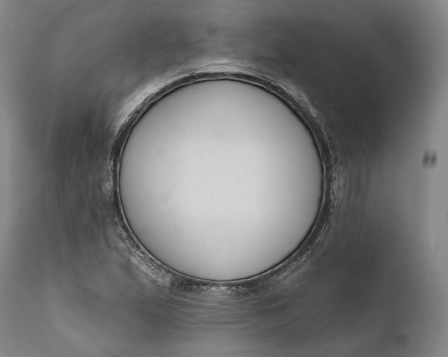 X0000111671167200908071450